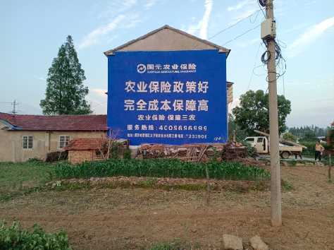 西畴墙体广告为何受追捧？